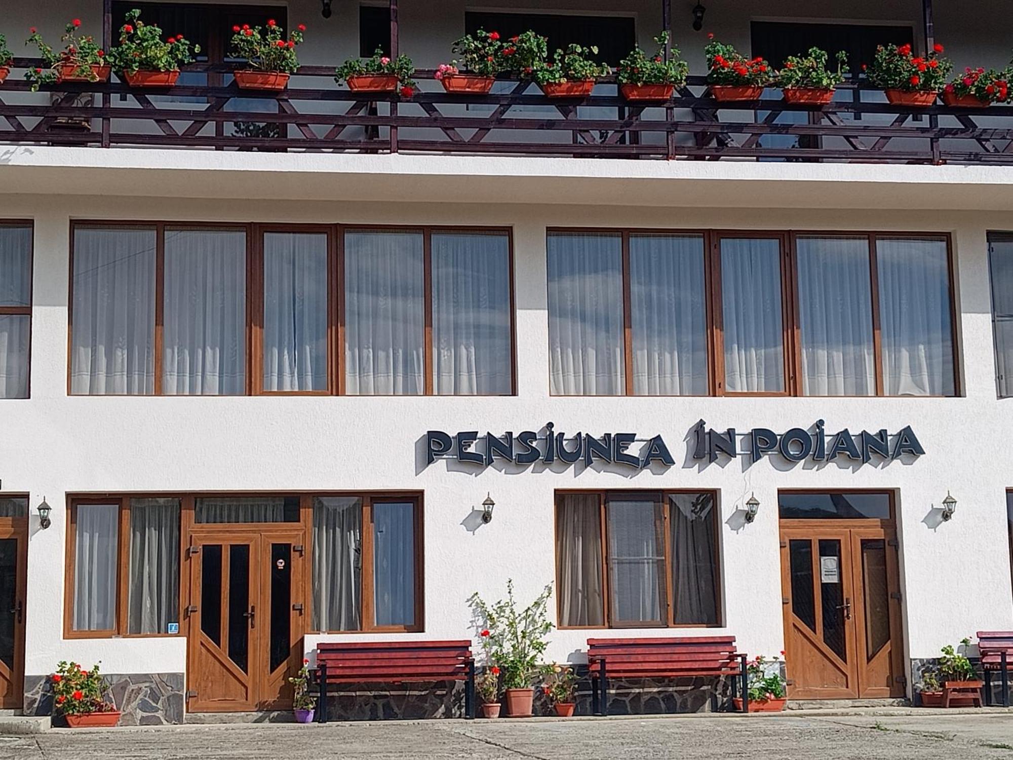 Pensiunea In Poiana Glod  Zewnętrze zdjęcie